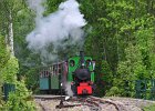 Henschel Heeresfeldbahnlok von Zastávka u Brna nach Důl Jindřich (3)